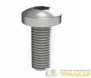 Винт М5х12 под шлиц Torx (уп. 100шт) DKC R5M512