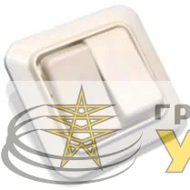 Выключатель 2-кл. СП 6.3А IP20 С56-У02 бел. БЕЛ. ЦЕРКОВЬ С56-У02