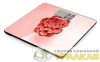 Весы напольные электронные SSP6041 макс.180кг рисунок STARWIND 1111802
