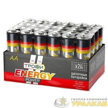 Элемент питания алкалиновый AA/LR6 LR6-24 bulk ENERGY POWER Alkaline (уп.24шт) Трофи Б0035376