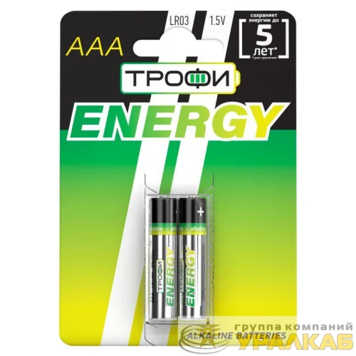Элемент питания алкалиновый AAA/LR03 LR03-2BL Eco (блист.2шт) Трофи Б0017043 детальная картинка