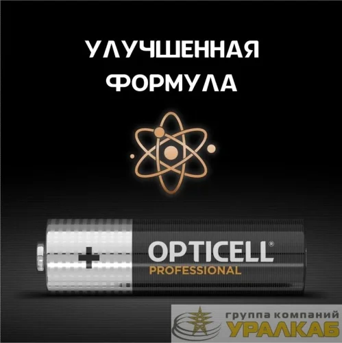 Элемент питания алкалиновый AA/LR6 (блист. 4шт) Professional Opticell /6052001