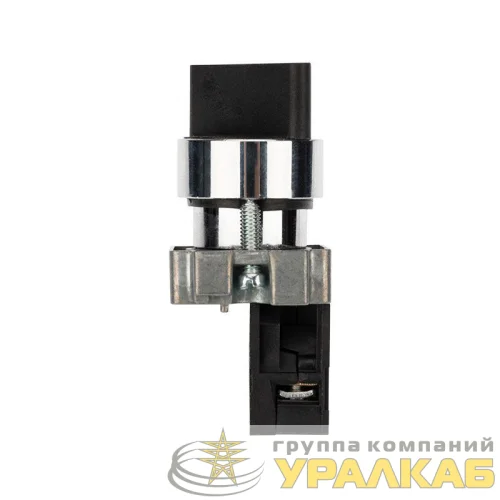 Переключатель BD21 2P короткая ручка NO Rexant 