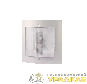 Светильник светодиодный "Интеллект-ЖКХ" LED 12Вт 5000К IP54 с оптико-акустич. датчиком; дежурн. режимом Аргос 