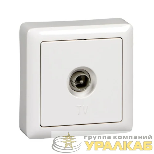 Розетка телевизионная оконечная TV ОП Хит бел. SE RAT-1A3-B детальная картинка Розетка телевизионная оконечная TV ОП Хит бел. SE RAT-1A3-B детальная картинка