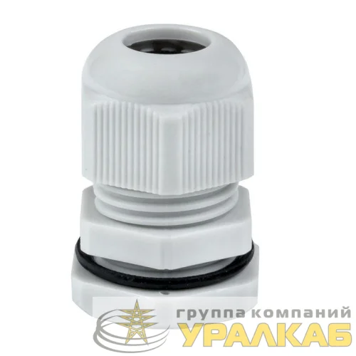 Ввод кабельный (сальник) PG13.5 IP54 EKF plc-pg-13.5 детальная картинка