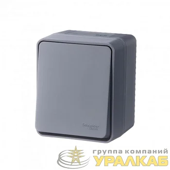 Выключатель 1-кл. ОП AtlasDesign Profi54 IP54 10AX антрацит SE ATN544011