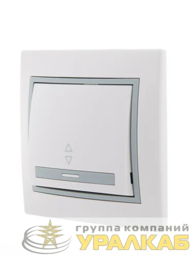 Переключатель проходной 1-кл. СП Mira 10А с сер. вставкой бел. LEZARD 701-0215-105 детальная картинка