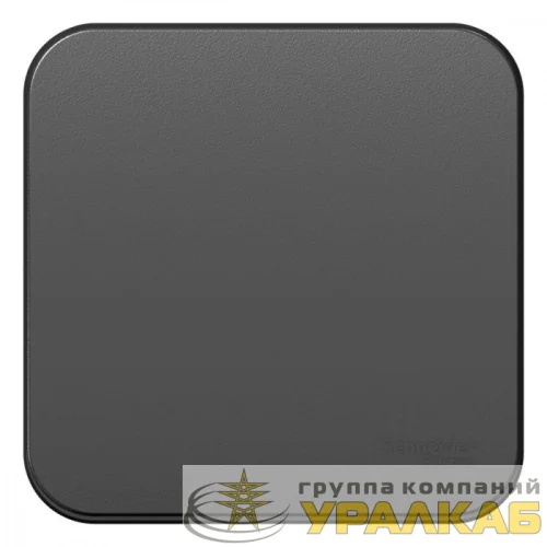 Переключатель проходной 1-кл. ОП Blanca 10А IP20 (сх. 6) 250В с изолир. пластиной антрацит SE BLNVA106016 детальная картинка