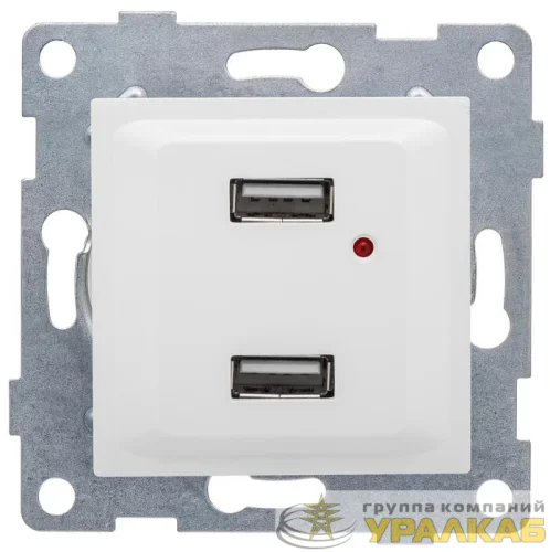 Розетка USB 2-м СП Ugra механизм бел. GUSI С11USB2-001 детальная картинка