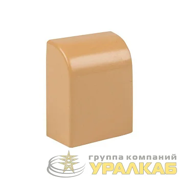 Заглушка 15х10 под свет. дерево Plast PROxima (уп.4шт) EKF ecl-15-10x4