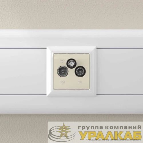 Розетка телевизионная TV/FM/SAT 2мод. 16А Avanti "Ванильная дымка" DKC 