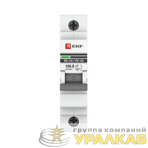 Выключатель нагрузки 1п 100А ВН-125 PROxima EKF SL125-1-100-pro детальная картинка