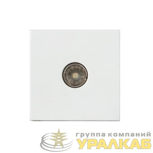Розетка телевизионная TV 2мод. EKF E2MA00-027-10 детальная картинка