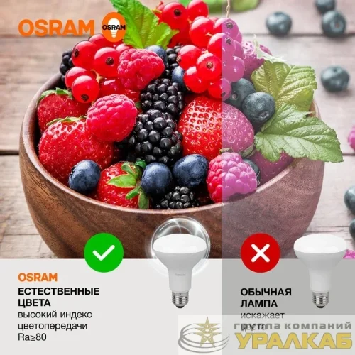Лампа светодиодная LED Value LV R80 90 11SW/840 11Вт рефлектор матовая E27 230В 10х1 RU OSRAM 