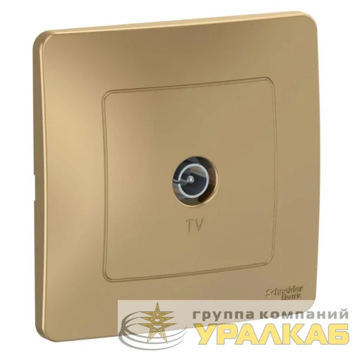 Розетка телевизионная TV 1-м СП Blanca коннектор титан SE BLNTS000014 детальная картинка