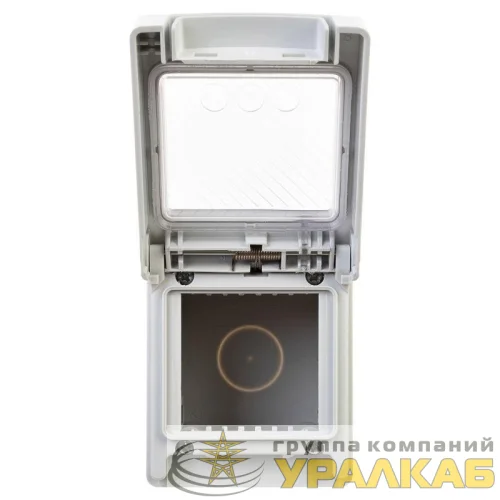 Коробка для настенного монтажа 2 мод. "Avanti" IP55 сер. DKC 4403932 детальная картинка