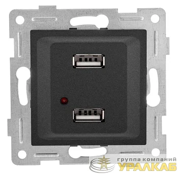 Розетка USB 2-м СП Ugra механизм графит GUSI С11USB2-010