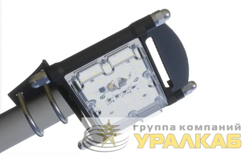 Светильник светодиодный "Стриж" ДКУ19-50-Д ALB 