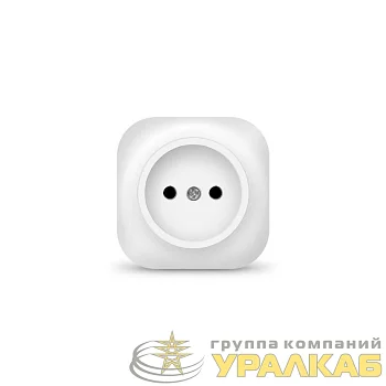 Розетка 1-м ОП 10А IP20 без заземл. бел. IONICH 