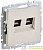 Розетка компьютерная двойная СП RJ45 кат.5E BRITE РК10-2-БрКр механизм беж. IEK BR-K20-1-K10