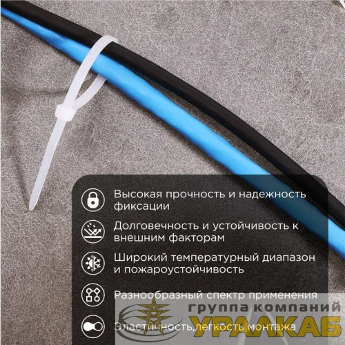 Хомут кабельный 4.8х200 нейл. (уп.100шт) бел. Rexant 07-0200-5 детальная картинка