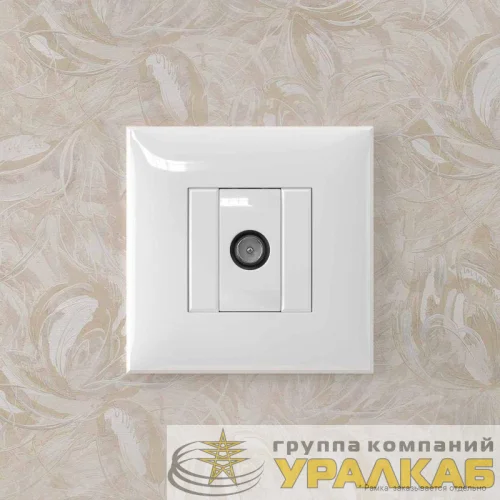 Розетка телевизионная оконечная TV СП Avanti "Белое облако" DKC 