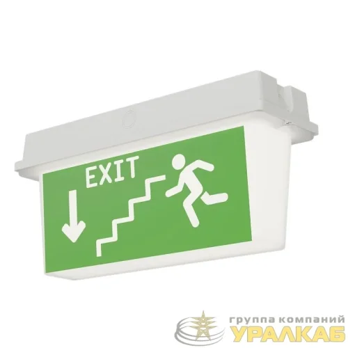 Светильник ДПО78-3-113 Neptun PT LED Ардатов 