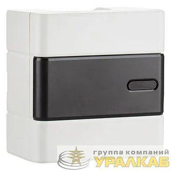 Щит распределительный навесной ЩРН-П-06 Trend BOXS-06-p-s-t IP41 ЭРА 