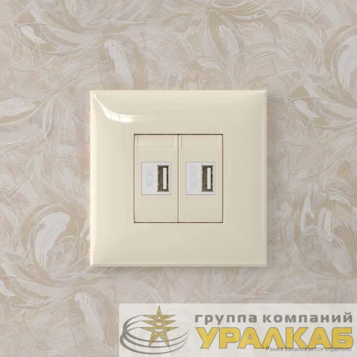Устройство зарядное USB СП Avanti "Ванильная дымка" DKC 