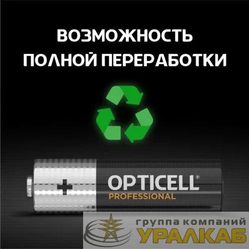 Элемент питания алкалиновый AA/LR6 (блист. 4шт) Professional Opticell 5052001 детальная картинка