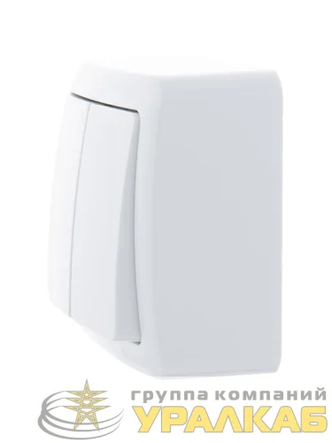 Выключатель 2-кл. 1п ОП Viola 10А IP20 бел. LEZARD 