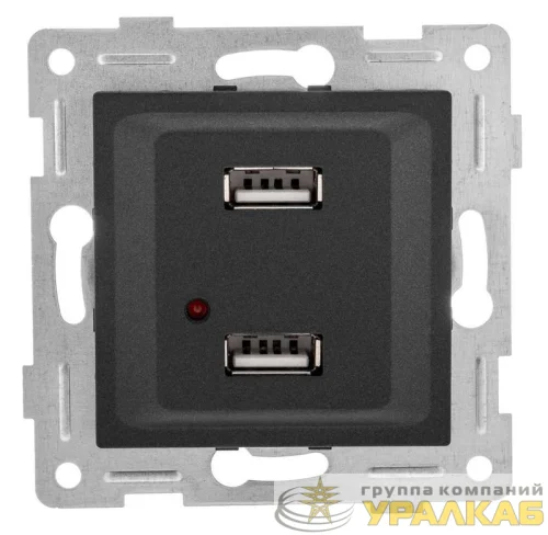 Розетка USB 2-м СП Ugra механизм графит GUSI С11USB2-010 детальная картинка