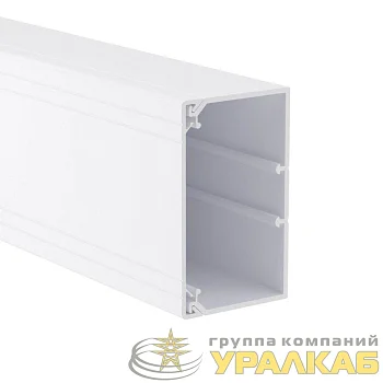 Кабель-канал 100х60 L2000 пластик TA-GN DKC 01786