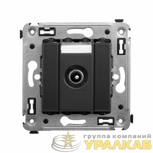 Розетка телевизионная проходная TV СП Avanti "Черный матовый" DKC 4412513 детальная картинка Розетка телевизионная проходная TV СП Avanti "Черный матовый" DKC 4412513 детальная картинка