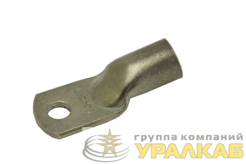Наконечник медный луженый ТМЛ 10-8-5 PROxima EKF tml-10-8-5-g детальная картинка