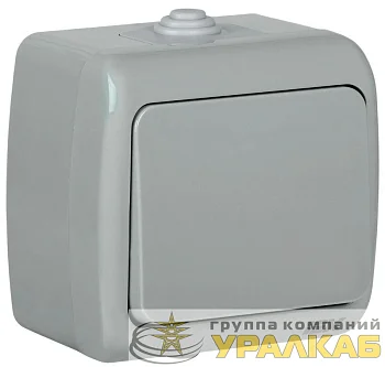 Выключатель 1-кл. 1п ОП Aquatic 10А IP54 ВС-20-1-0-А сер. IEK EVA10-K03-10-54
