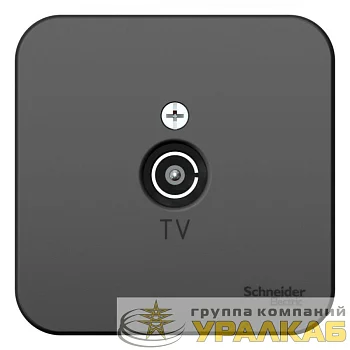 Розетка телевизионная TV ОП Blanca коннектор с изолир. пластиной антрацит SE 
