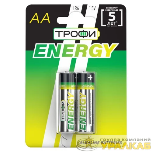 Элемент питания алкалиновый AA/LR6 LR6-2BL Eco (блист.2шт) Трофи Б0017045 детальная картинка