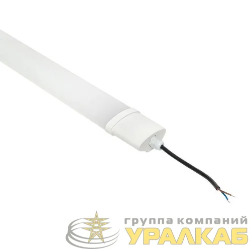 Светильник светодиодный ДСП-1004 36Вт 6500К IP65 1200мм пылевлагозащ. PROxima EKF 