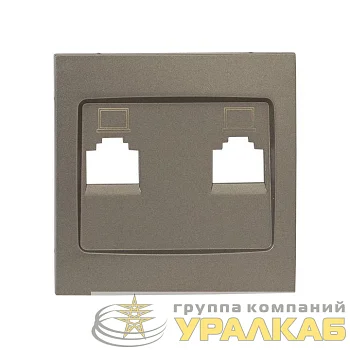 Панель лицевая Валенсия для розетки 2-м RJ-45 кашемир PROxima EKF ESK02-L-035-40