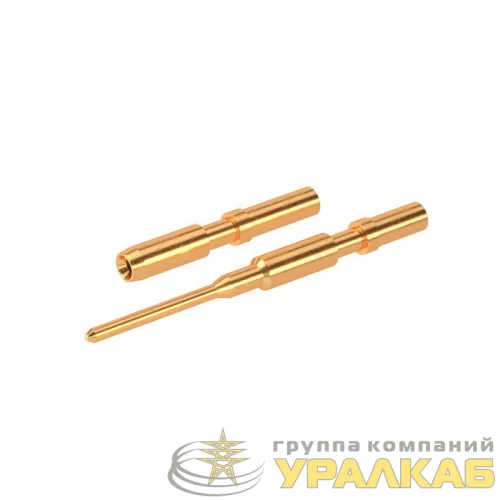 Комплект сигнальных контактов 12А каб M+F 13 контактов (Pin/Socket) DKC R5M2WSCP12 детальная картинка