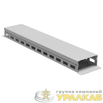 Органайзер кабельный 19дюйм с крышкой 2U глубина 40 мм RAL7035 DKC 