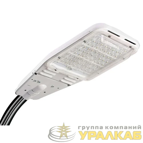 Светильник ДКУ "Победа" LED-150-К/К50 GALAD 10950 детальная картинка