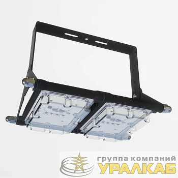 Светильник светодиодный "Стриж" ДСП19-100-Д ALB 