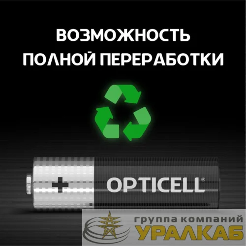 Элемент питания алкалиновый AA/LR6 (блист. 4шт) Basic Opticell 5051001 детальная картинка
