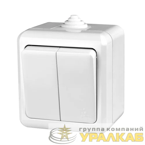 Выключатель 2-кл. ОП Dita IP54 10А 250В бел. TOKOV ELECTRIC TKL-DT-V2-C01-IP54 детальная картинка Выключатель 2-кл. ОП Dita IP54 10А 250В бел. TOKOV ELECTRIC TKL-DT-V2-C01-IP54 детальная картинка