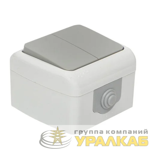 Выключатель 2-кл. ОП Мурманск 10А IP54 сер. EKF EFV10-023-30-54 детальная картинка