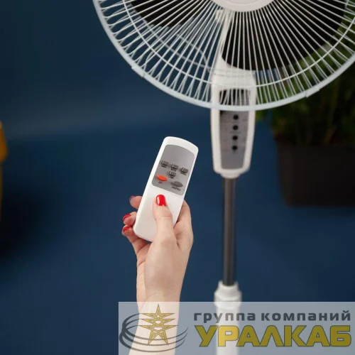 Вентилятор напольный DX-1608R 40Вт 220В с пультом и таймером бел./черн. DUX 60-0210 детальная картинка
