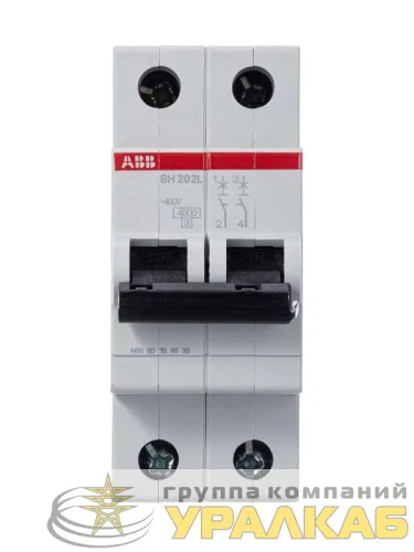 Выключатель автоматический модульный 2п C 25А 4.5кА SH202L C25 ABB 2CDS242001R0254 детальная картинка